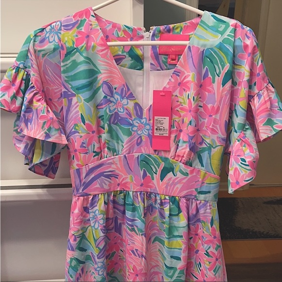 NWT Lilly Pulitzer Blaire Stretch Dress in “It Was All a Dream” - Picture 7 of 11